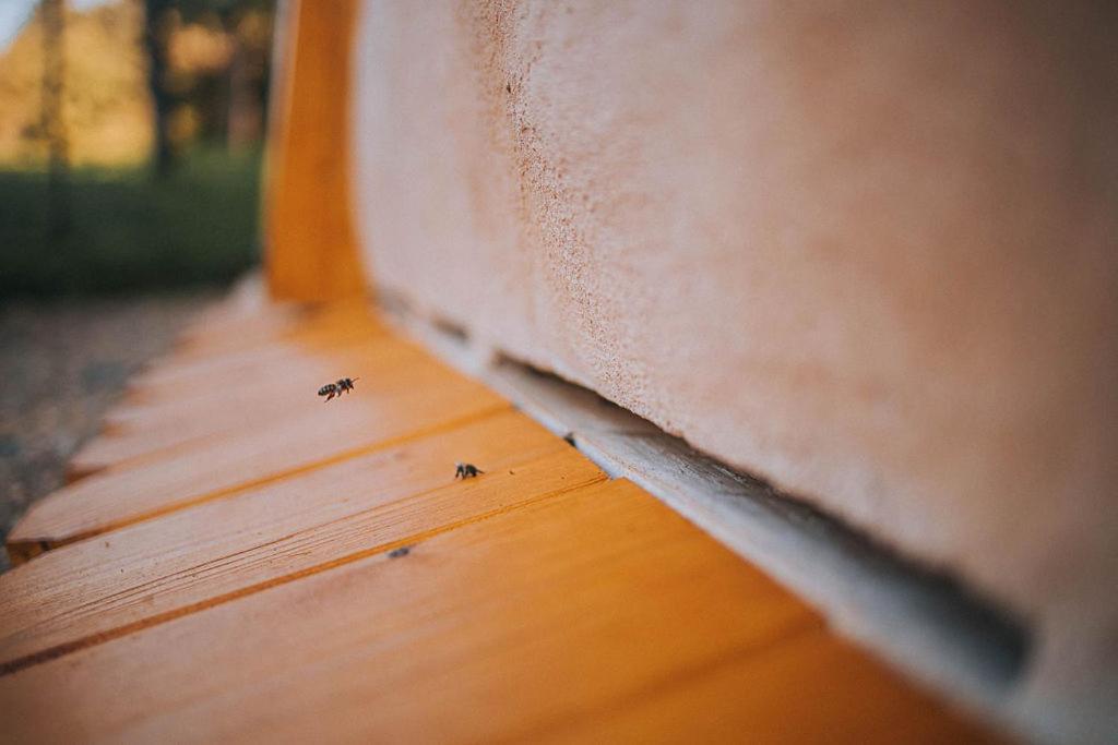 Апартаменты Sleeping With Bees - Tourist Farm Muha Гросупле Экстерьер фото